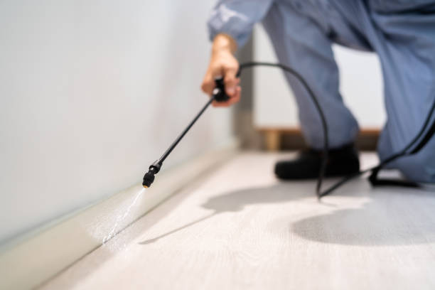 Licensed Termite Control service in Ashville, OH - Nex Pest Control