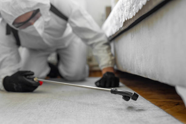 Professional Termite Control technician working in Ashville, OH