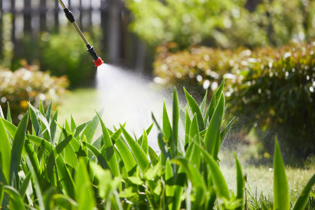 24/7 Emergency Termite Control experts in Ashville, OH
