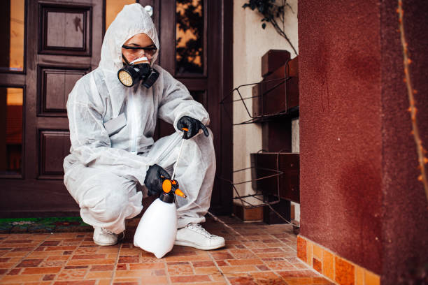 Reliable Termite Control contractor in Ashville, OH by Nex Pest Control