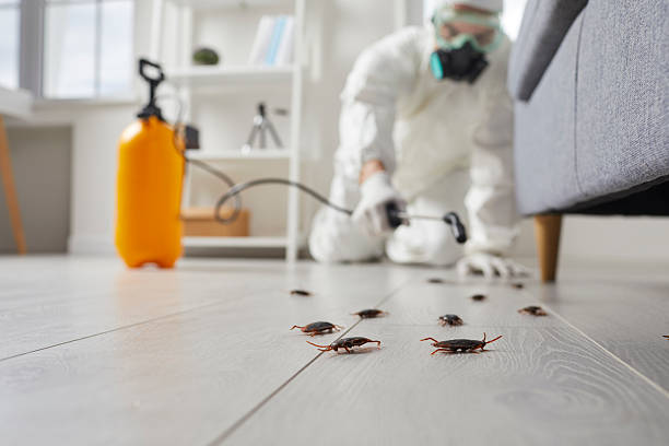 Trusted Fumigation Services service in Ashville, OH - Nex Pest Control