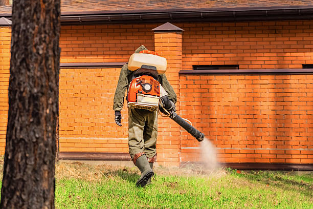 Trusted Termite Control service in Ashville, OH - Nex Pest Control